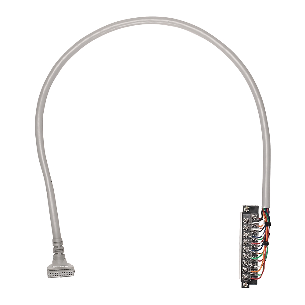 Allen-Bradley Allen-Bradley 1492-CAB050P62 5.0M Cable For 1762-Iq32T Ob32T And Ov32