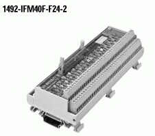 Allen-Bradley Allen-Bradley 1492-IFM40F-F24-2 1492 Wiring Systems Modules