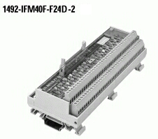 Allen-Bradley Allen-Bradley 1492-IFM40F-F24D-2 1492 Wiring Systems Modules