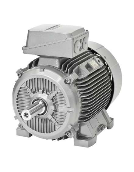 Siemens Siemens 1LE1001-0DB22-2FA4-Z – SIMOTICS GP/SD low-voltage induction motor