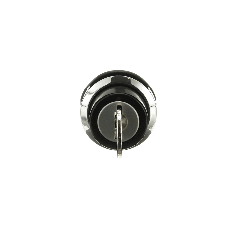 ABB ABB M2SSK2-301 Front element for selector switch