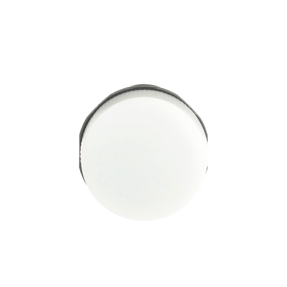 ABB ABB CL-100W Indicator light complete