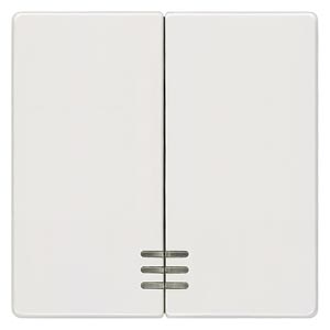 Siemens Siemens 5TG6204 – DELTA wall switch, pushbutton or installation accessory