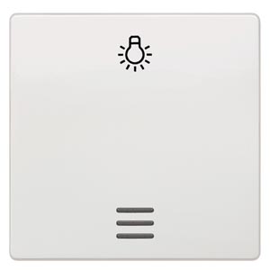 Siemens Siemens 5TG6206 – DELTA wall switch, pushbutton or installation accessory