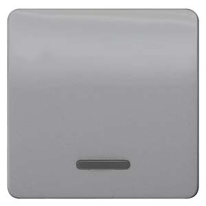Siemens Siemens 5TG7920 – DELTA wall switch, pushbutton or installation accessory