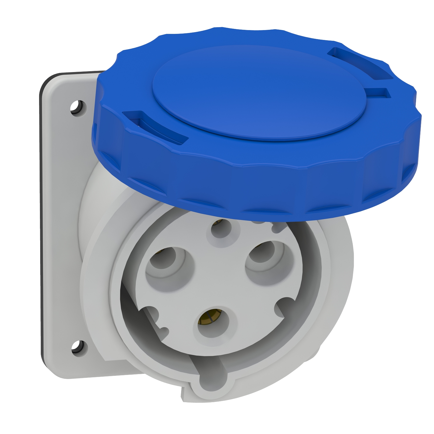 Schneider Electric Schneider Electric 81278 – Panel mounting socket, Mureva PK, angled, 63A,2P+E, 220 V, IP67