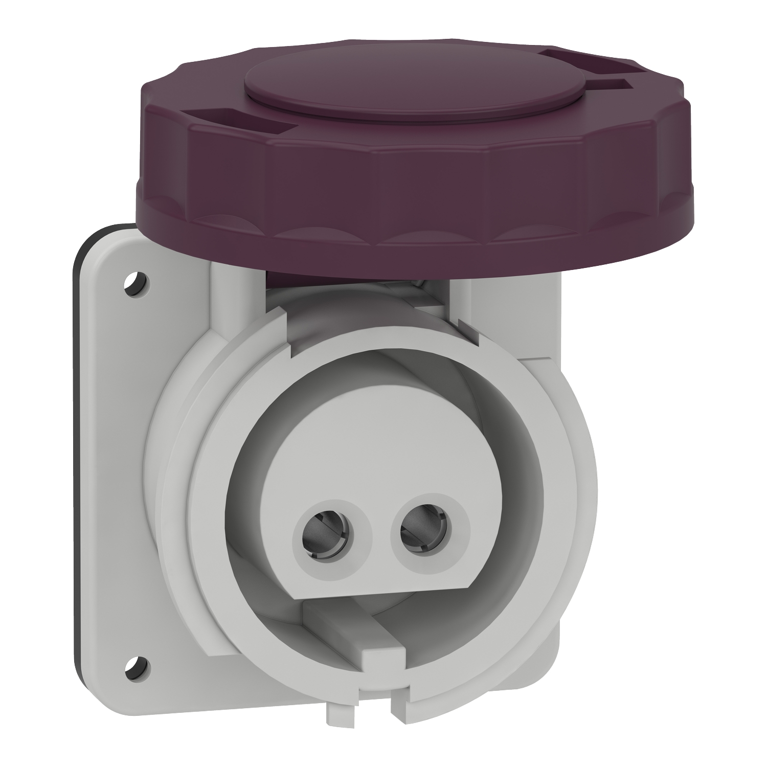 Schneider Electric Schneider Electric 82951 – Panel mounting socket, Mureva PK, straight, 16A, 2P, 20…25 V, IP67