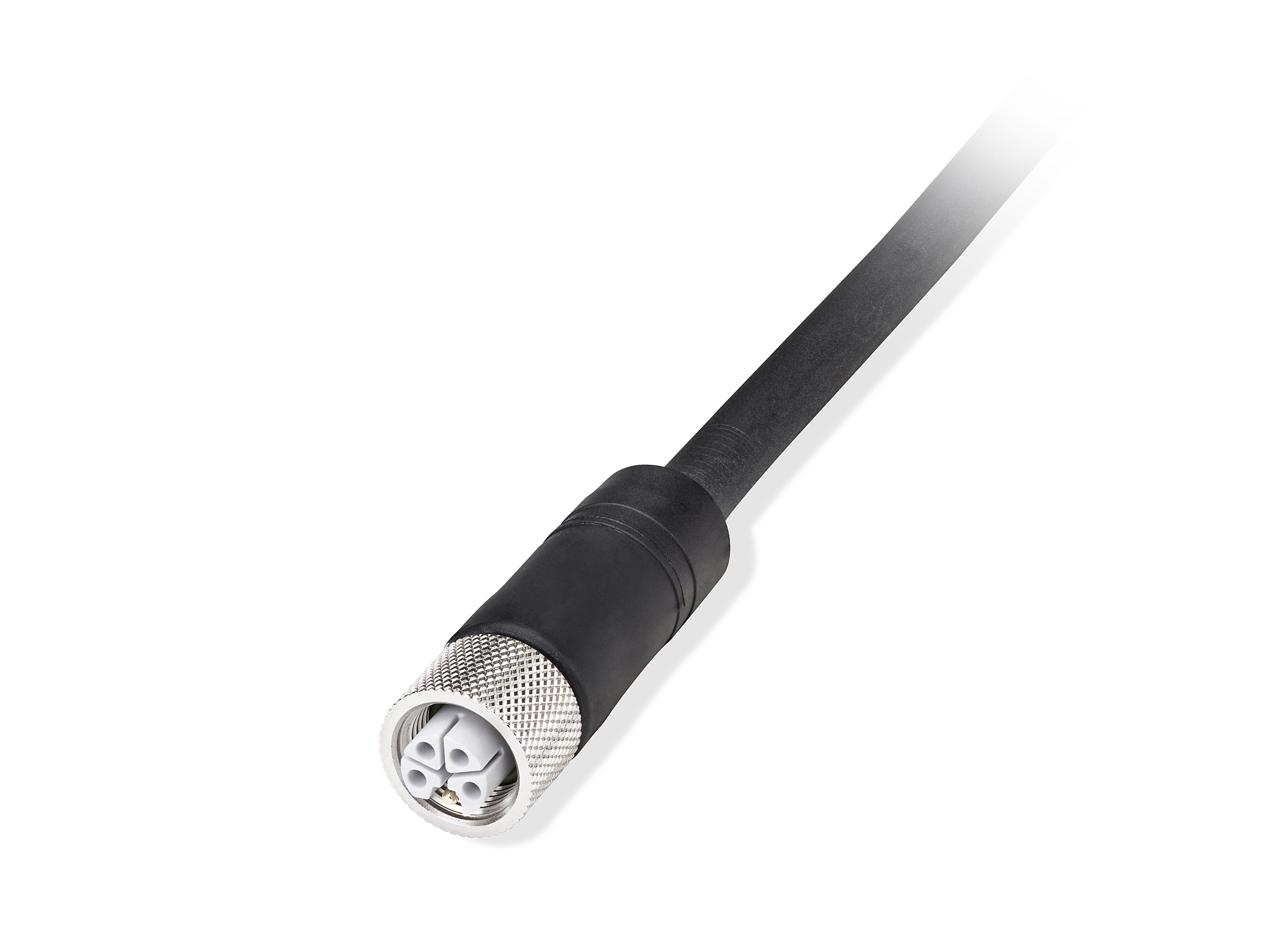 Allen-Bradley Allen-Bradley 889L-R5JFLE-3 889l M12 Power Patchcord