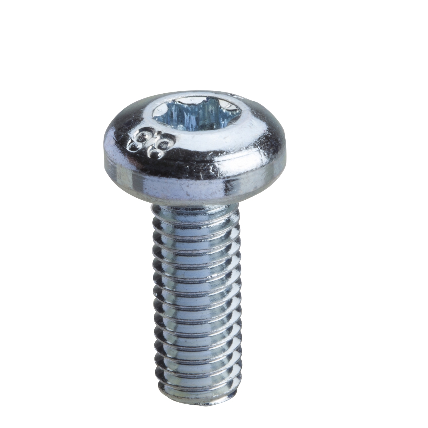 Schneider Electric Schneider Electric NSYST30M6 – Torx screw M6x16mm without washer. Supply: 100 units
