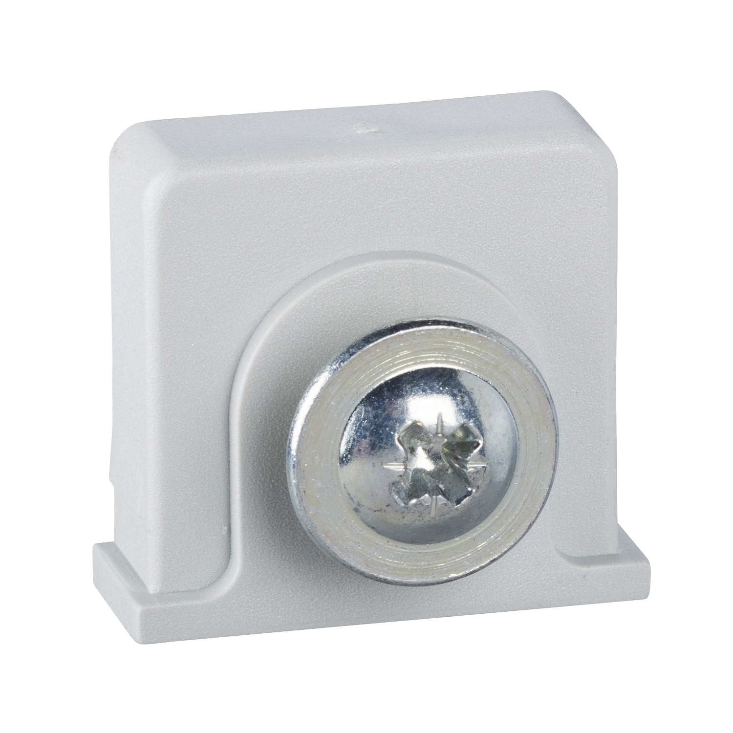 Schneider Electric Schneider Electric NSYTCSPLM – plastic nut and self taping screw placed in the notches of PLM for DIN rail