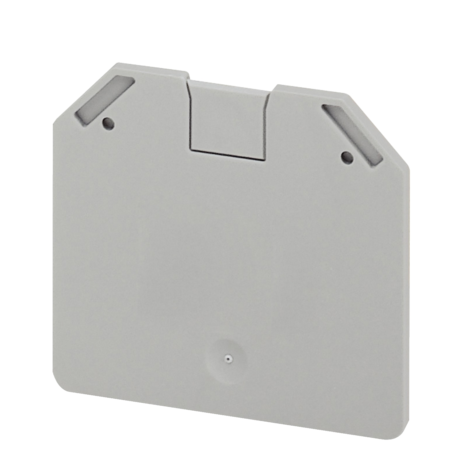 Schneider Electric Schneider Electric NSYTRAC162 – Cover plate, Linergy TR, 2 points, 2.2mm width, for screw terminal NSYTRV162, grey, Set of 50