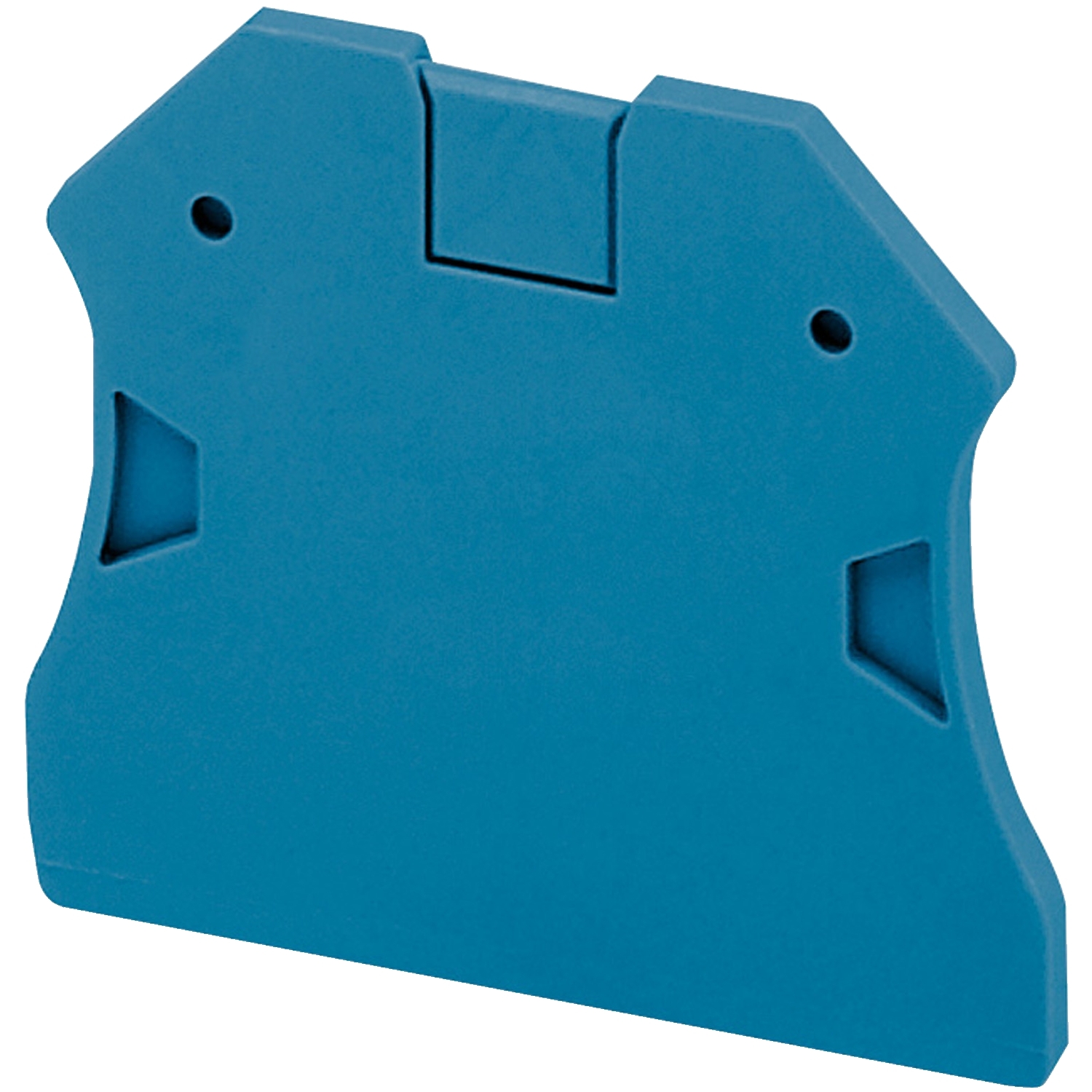 Schneider Electric Schneider Electric NSYTRAC22BL – Cover plate, Linergy TR, 2.2mm width, 2 points, for screw terminals NSY TRV22,TRV42,TRV, blue, set of 50