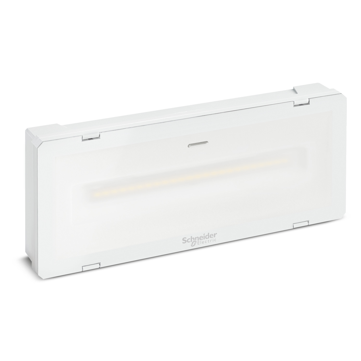 Schneider Electric Schneider Electric OVA46020 – Exiway Smartled - emergency light - CBS - LED - 300 lm - 216VDC 230 IP55