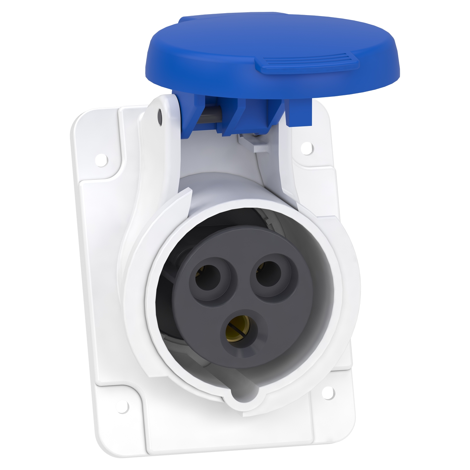 Schneider Electric Schneider Electric PKF16F423 – PratiKa socket - screw - angled - 16A - 2P + E - 200...250 V AC - panel