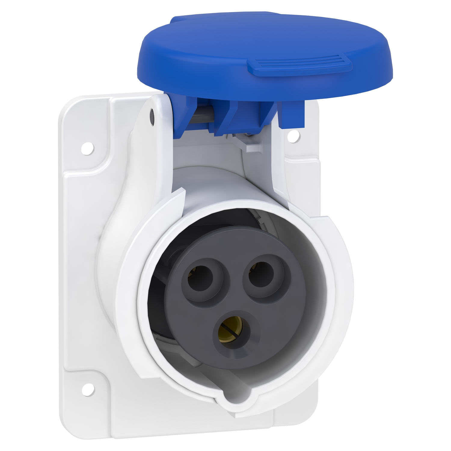 Schneider Electric Schneider Electric PKF16G423 – PratiKa socket - screw - straight - 16A - 2P + E - 200...250 V AC - panel