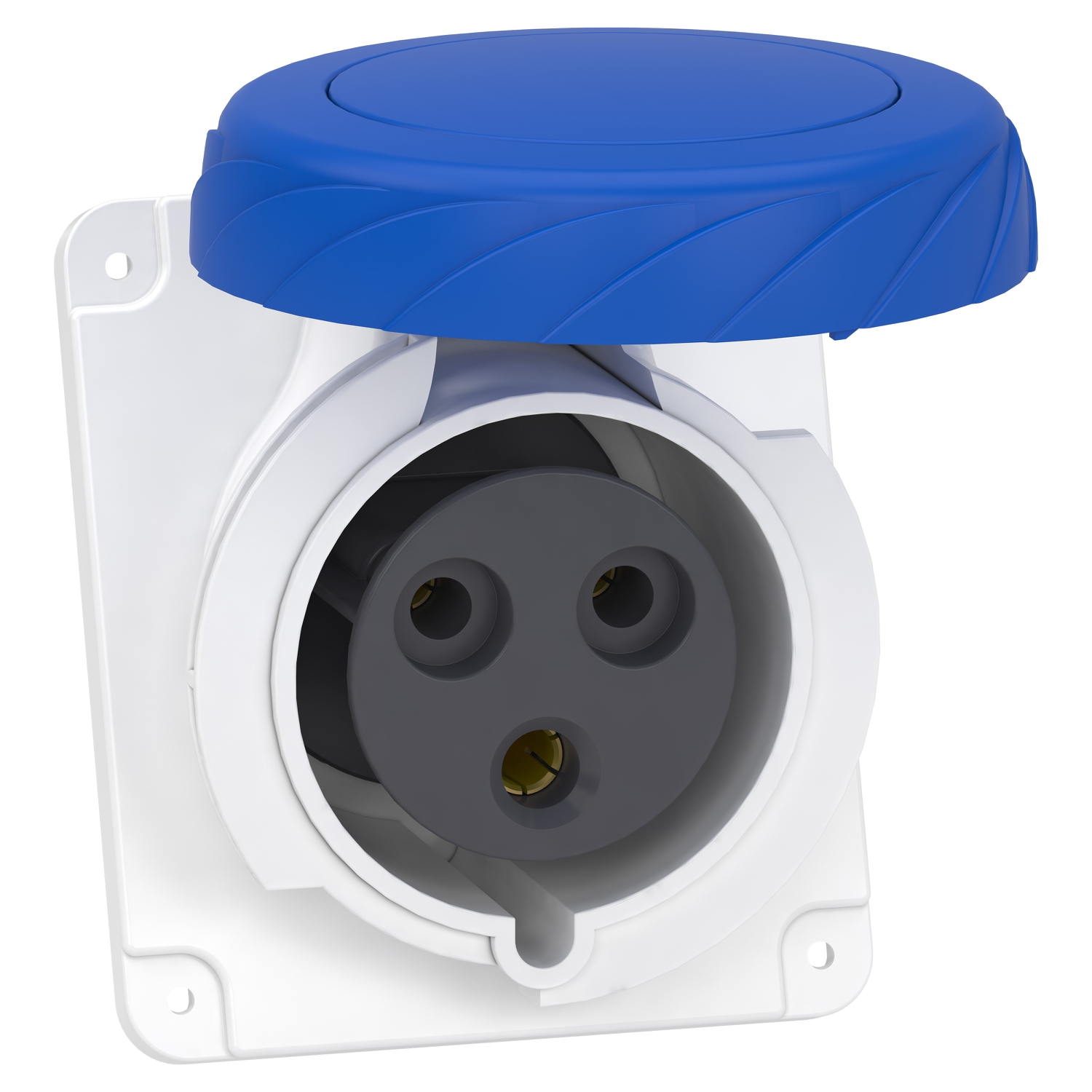 Schneider Electric Schneider Electric PKF32F723 – PratiKa socket - screw - angled - 32A - 2P + E - 200...250 V AC - panel