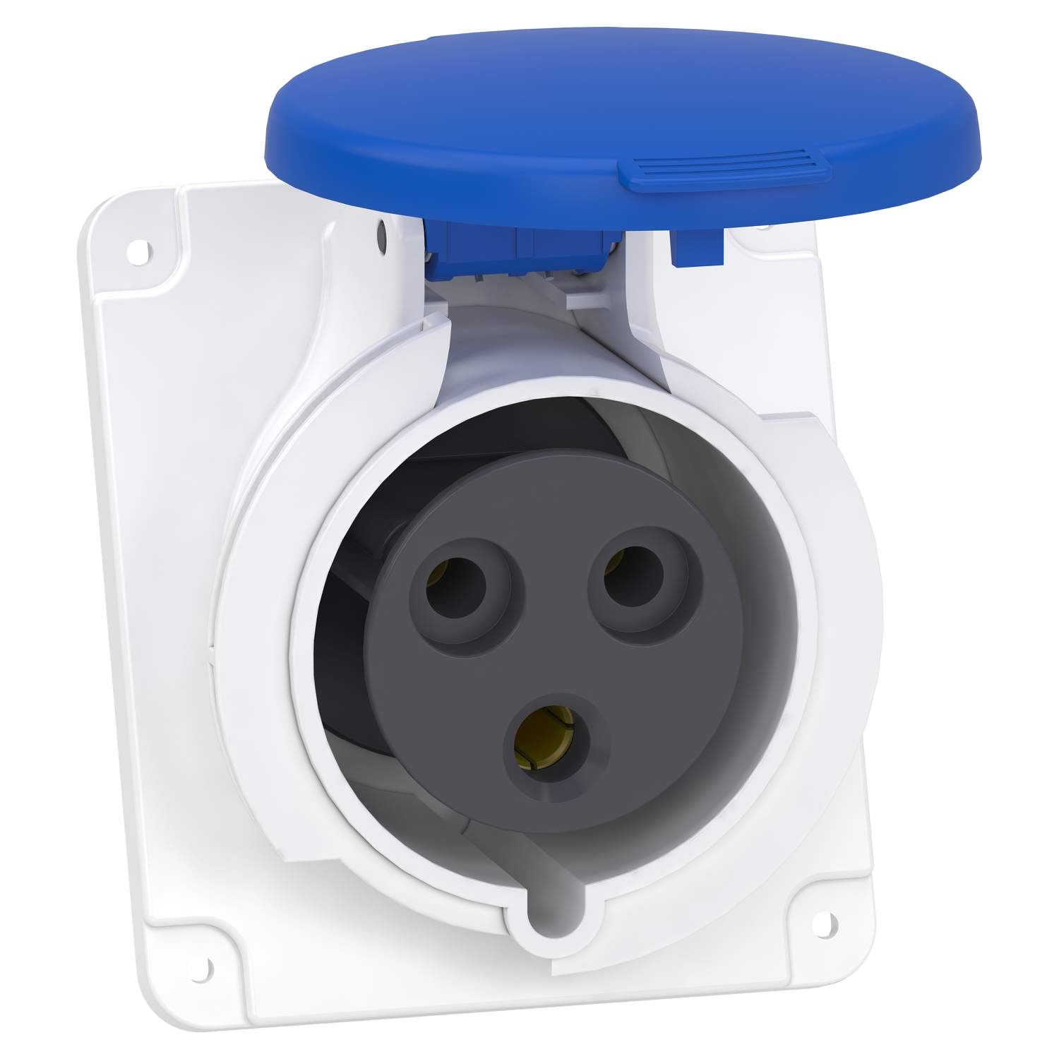 Schneider Electric Schneider Electric PKY32F423 – PratiKa socket - fast - angled - 32A - 2P + E - 200...250 V AC - panel