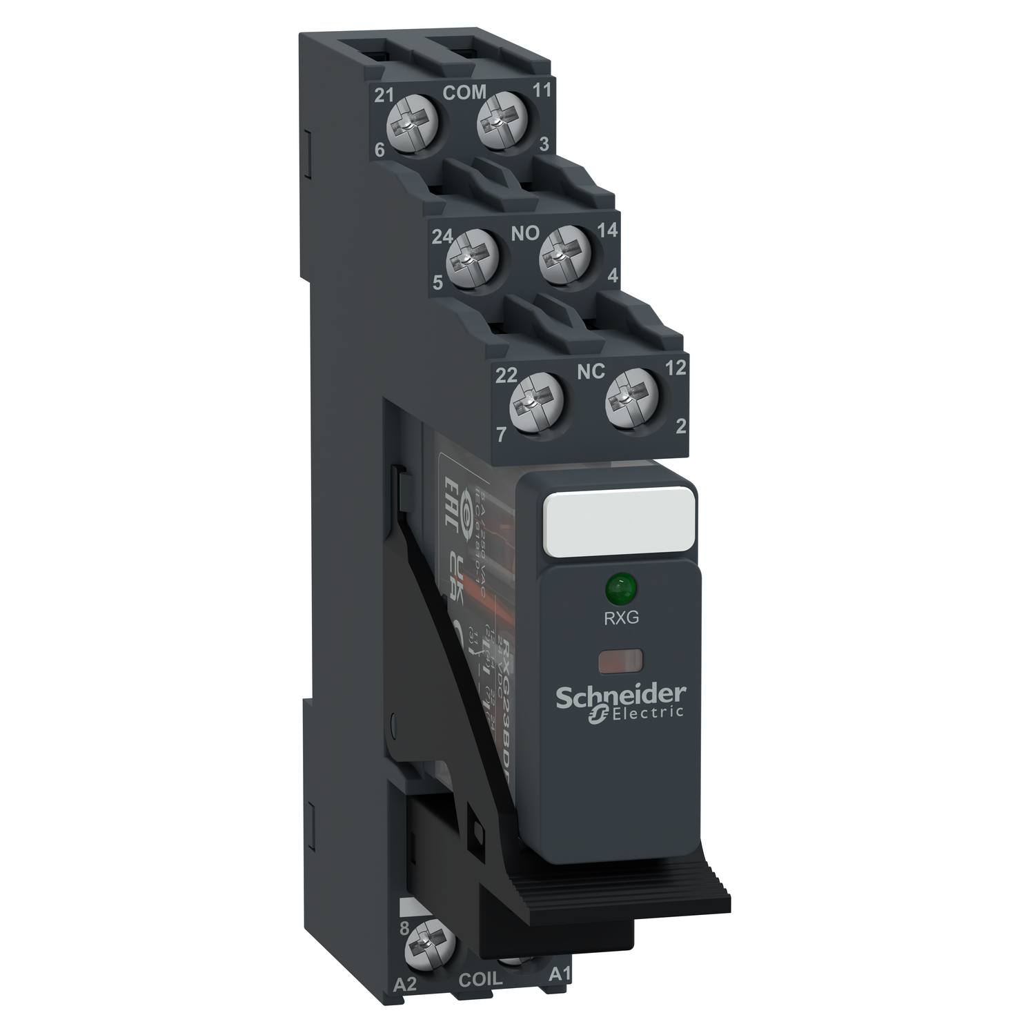 Schneider Electric Schneider Electric RXG23BDPV – interface plug in relay, Harmony Electromechanical Relays, pre assembled, 5A, 2CO, with LED, 24V DC