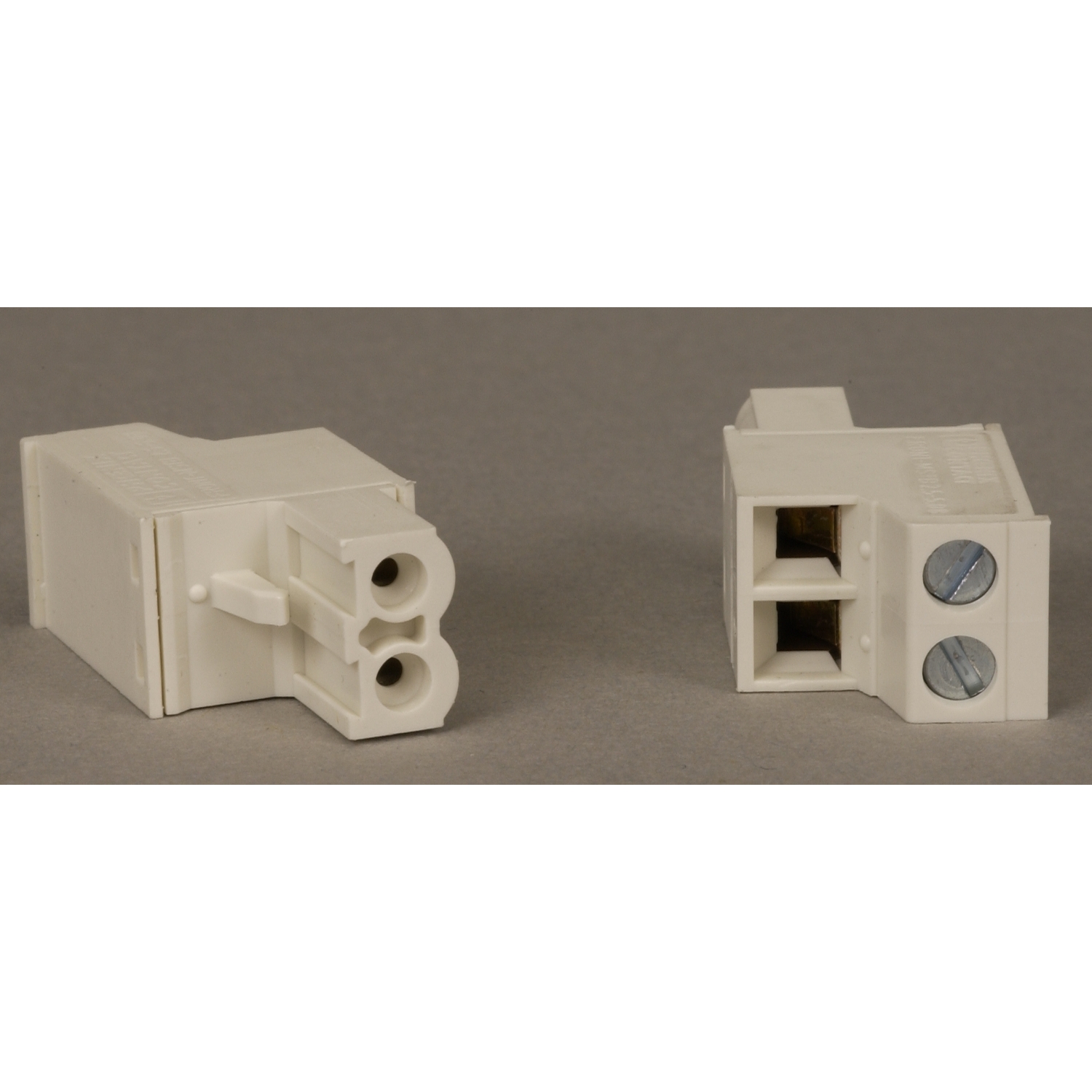 Schneider Electric Schneider Electric STBXTS1120 – Modicon STB - 2 pin removable connector for 24 V DC power supply - screw - type