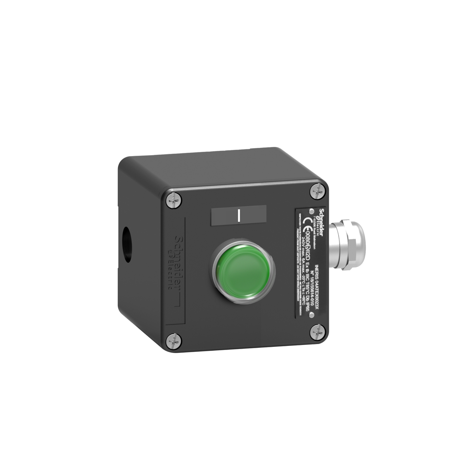 Schneider Electric Schneider Electric XAWF100EX – Control station, metal, start function, 1 flush push button, green, 1 NO, ATEX